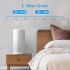 Meross Smart Wi-Fi Air Purifier, MAP100HK (EU version)