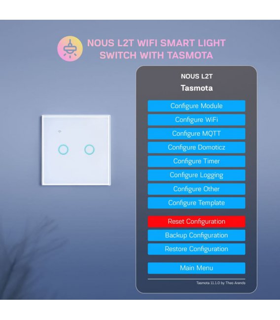 Nous L2T WiFi Smart Light Switch with Tasmota (2 channels)