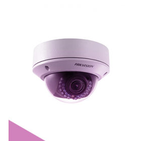 Outdoor IP cameras