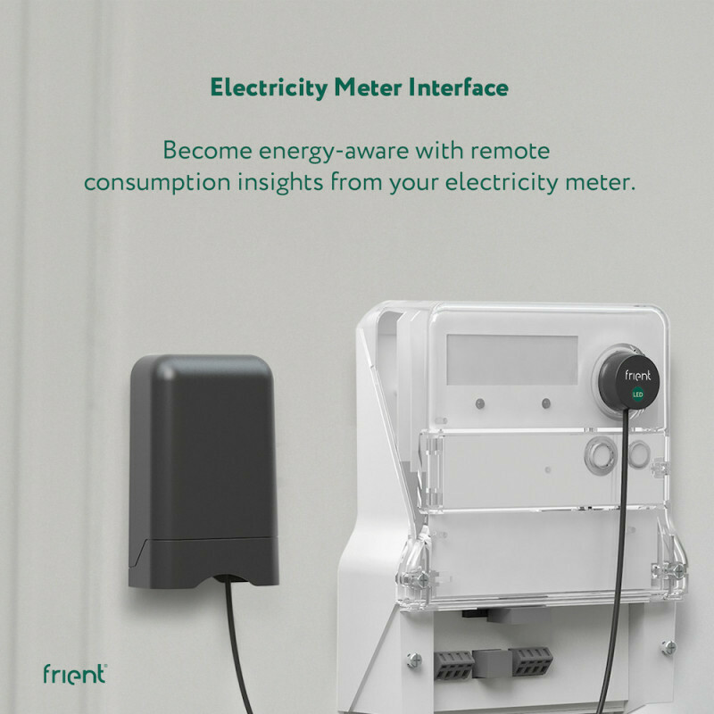 frient Electricity Meter Interface
